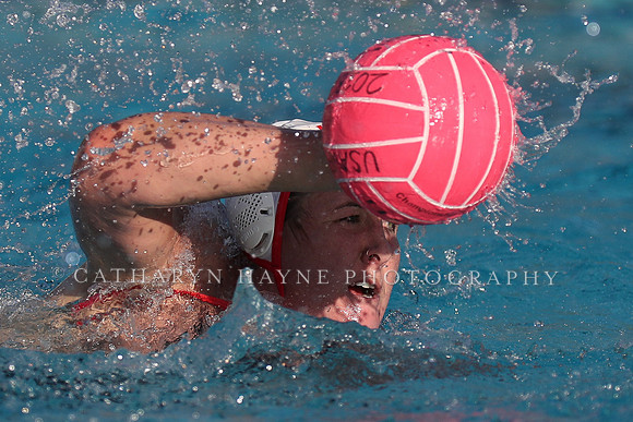 USA Water Polo: Collegiate Cup: New York Athletic Club vs Stanford