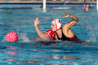 USA Water Polo: Collegiate Cup: New York Athletic Club vs Stanford