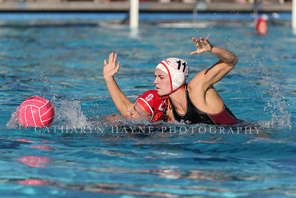 USA Water Polo: Collegiate Cup: New York Athletic Club vs Stanford