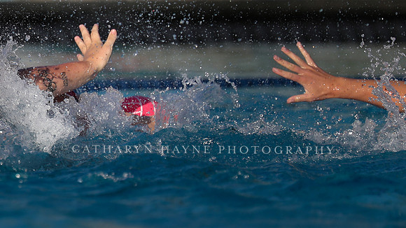 USA Water Polo: Collegiate Cup: New York Athletic Club vs Stanford