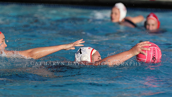 USA Water Polo: Collegiate Cup: New York Athletic Club vs Stanford