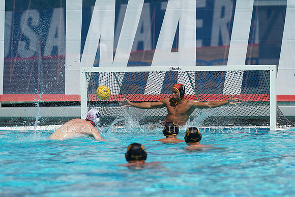 USA Water Polo National League: New York Athletic Club vs Shore Aquatics