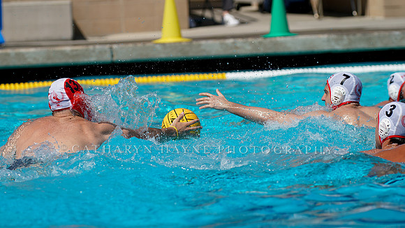 USA Water Polo National League: New York Athletic Club vs Shore Aquatics