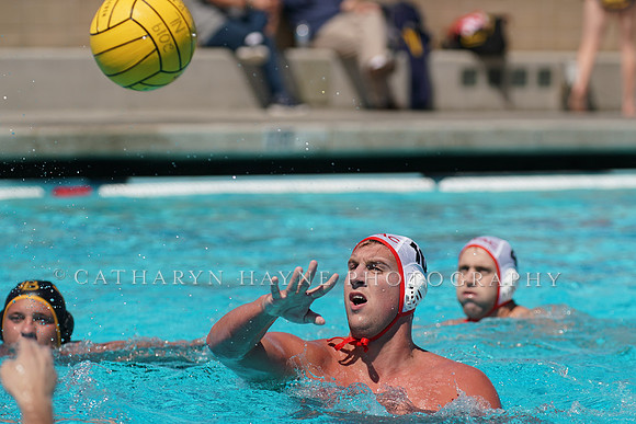 USA Water Polo National League: New York Athletic Club vs Shore Aquatics