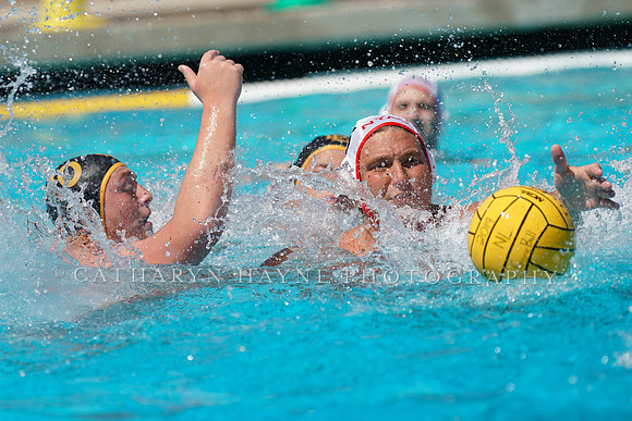 USA Water Polo National League: New York Athletic Club vs Shore Aquatics