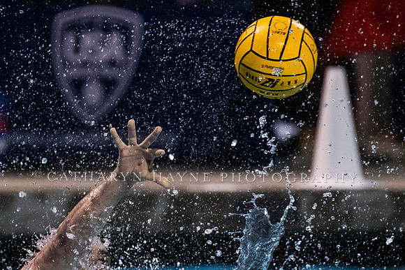USA Water Polo Men's Exhibition Series: USA vs Italy