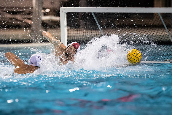 USA Water Polo Men's Exhibition Series: USA vs Italy