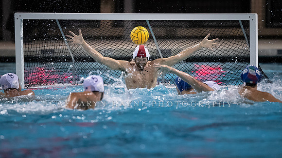 USA Water Polo Men's Exhibition Series: USA vs Italy
