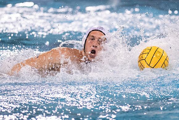 USA Water Polo Men's Exhibition Series: USA vs Italy