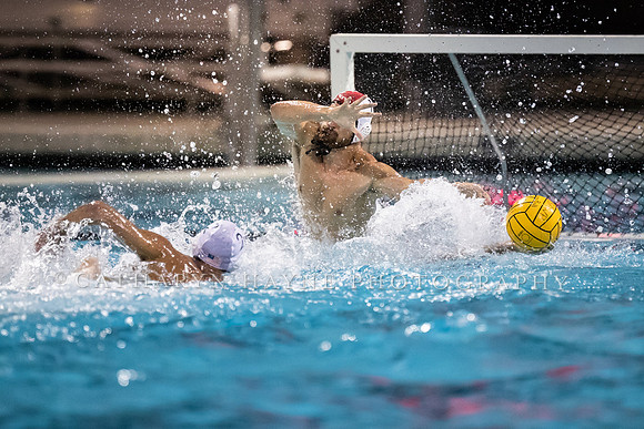 USA Water Polo Men's Exhibition Series: USA vs Italy