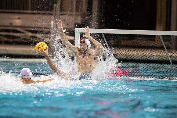 USA Water Polo Men's Exhibition Series: USA vs Italy
