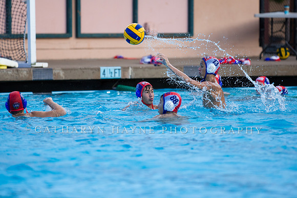 USA Water POlo ODP 2000-2001