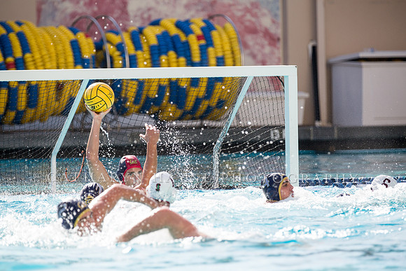 20141108CalvStanford1LR-168