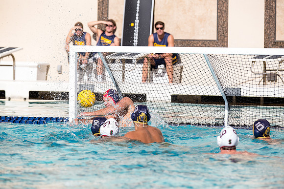 20141108CalvStanford1LR-26