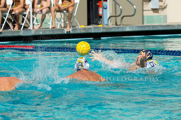 20140913CalvDavisLR (188 of 299)