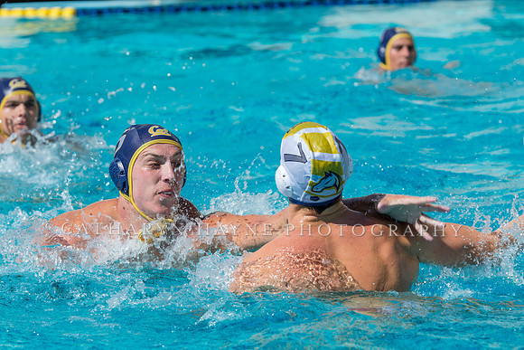 20140913CalvDavisLR (256 of 299)