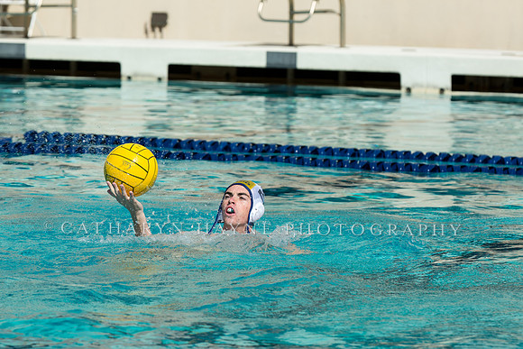 20140913CalvDavisLR (132 of 299)