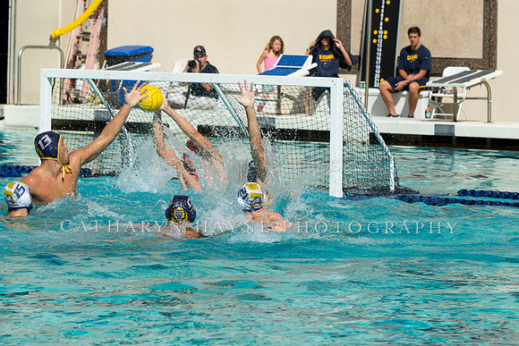 20140913CalvDavisLR (140 of 299)