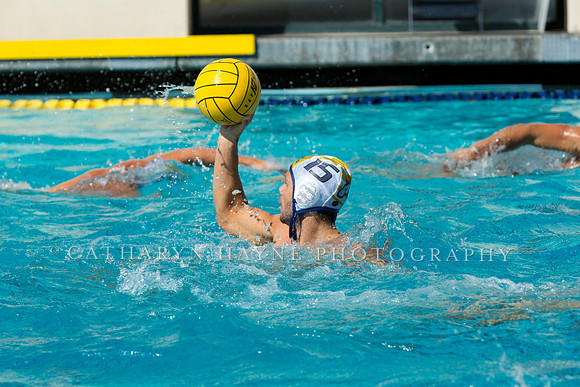 20140913CalvDavisLR (169 of 299)