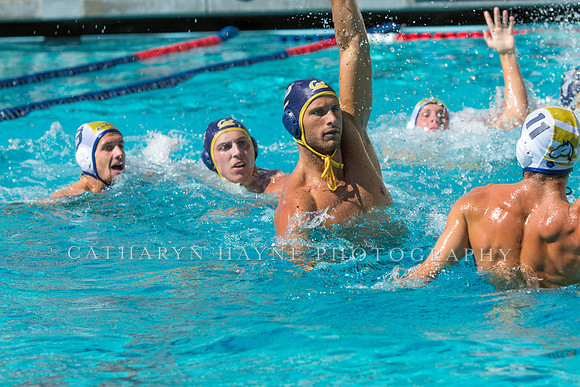 20140913CalvDavisLR (240 of 299)