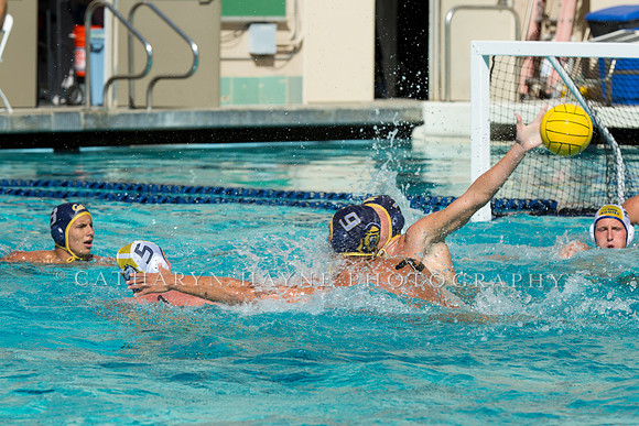 20140913CalvDavisLR (167 of 299)