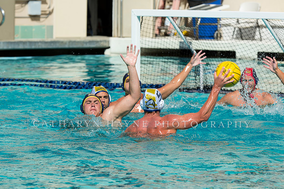 20140913CalvDavisLR (171 of 299)