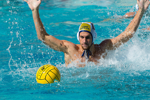 20140913CalvDavisLR (101 of 299)