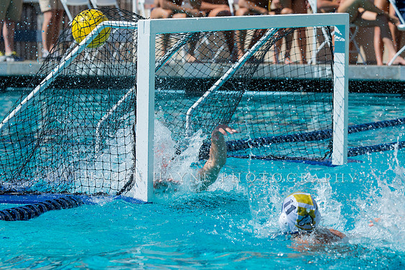 20140913CalvDavisLR (290 of 299)