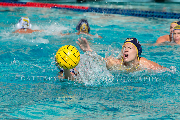 20140913CalvDavisLR (6 of 299)