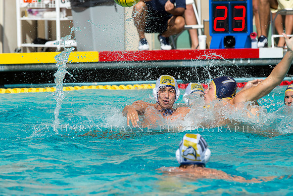 20140913CalvDavisLR (141 of 299)