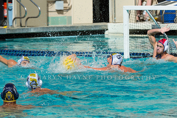 20140913CalvDavisLR (201 of 299)