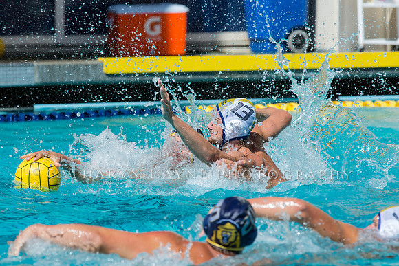 20140913CalvDavisLR (291 of 299)