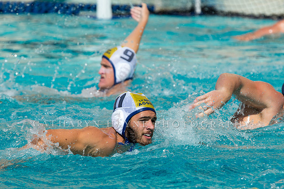 20140913CalvDavisLR (231 of 299)