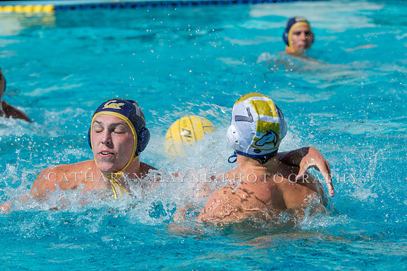 20140913CalvDavisLR (257 of 299)