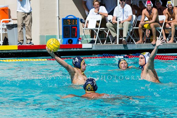 20140913CalvDavisLR (270 of 299)