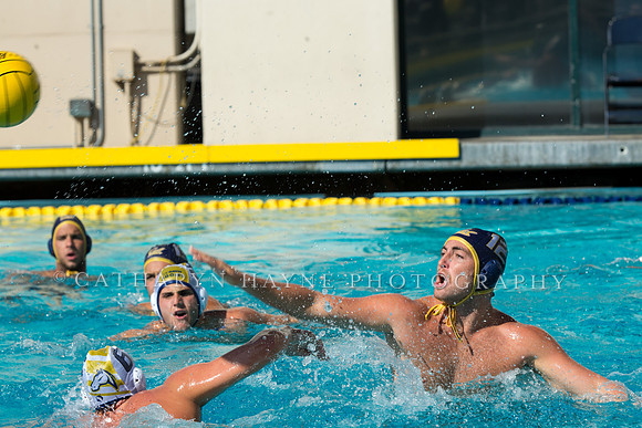 20140913CalvDavisLR (121 of 299)