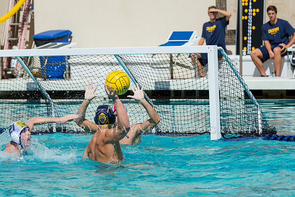 20140913CalvDavisLR (298 of 299)