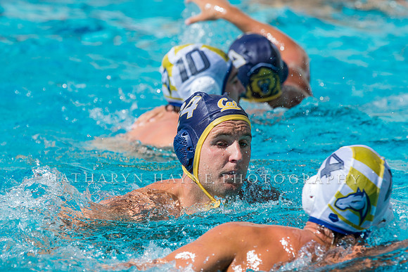 20140913CalvDavisLR (273 of 299)