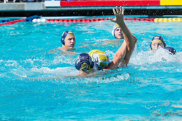 20140913CalvDavisLR (294 of 299)