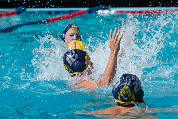 20140913CalvDavisLR (295 of 299)