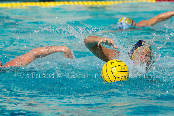 20140913CalvDavisLR (117 of 299)