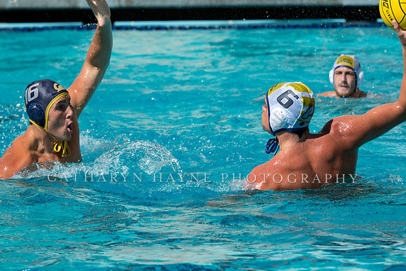20140913CalvDavisLR (216 of 299)