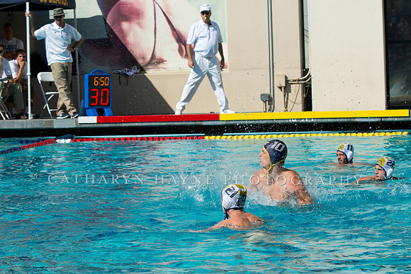 20140913CalvDavisLR (111 of 299)