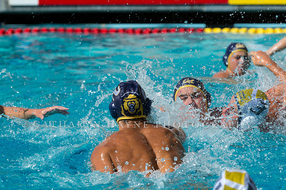 20140913CalvDavisLR (226 of 299)
