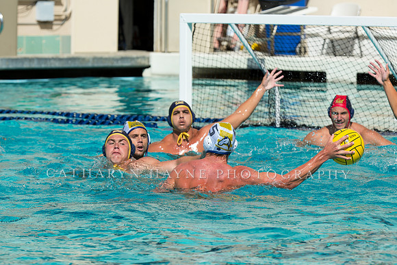 20140913CalvDavisLR (172 of 299)