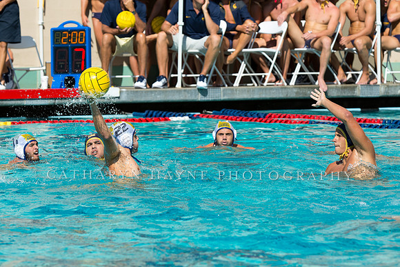 20140913CalvDavisLR (165 of 299)