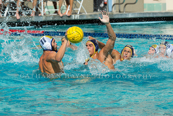 20140913CalvDavisLR (159 of 299)