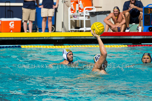 20140913CalvDavisLR (153 of 299)