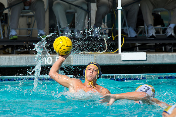 20140913CalvDavisLR (145 of 299)