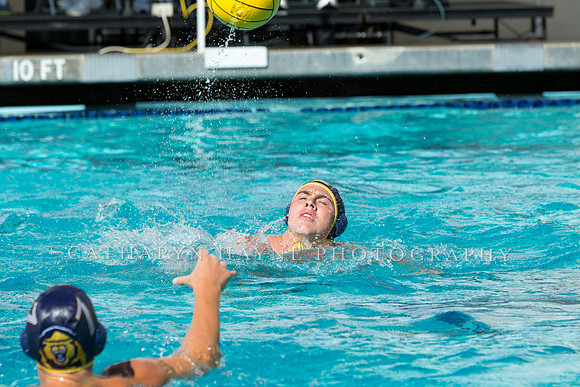 20140913CalvDavisLR (55 of 299)